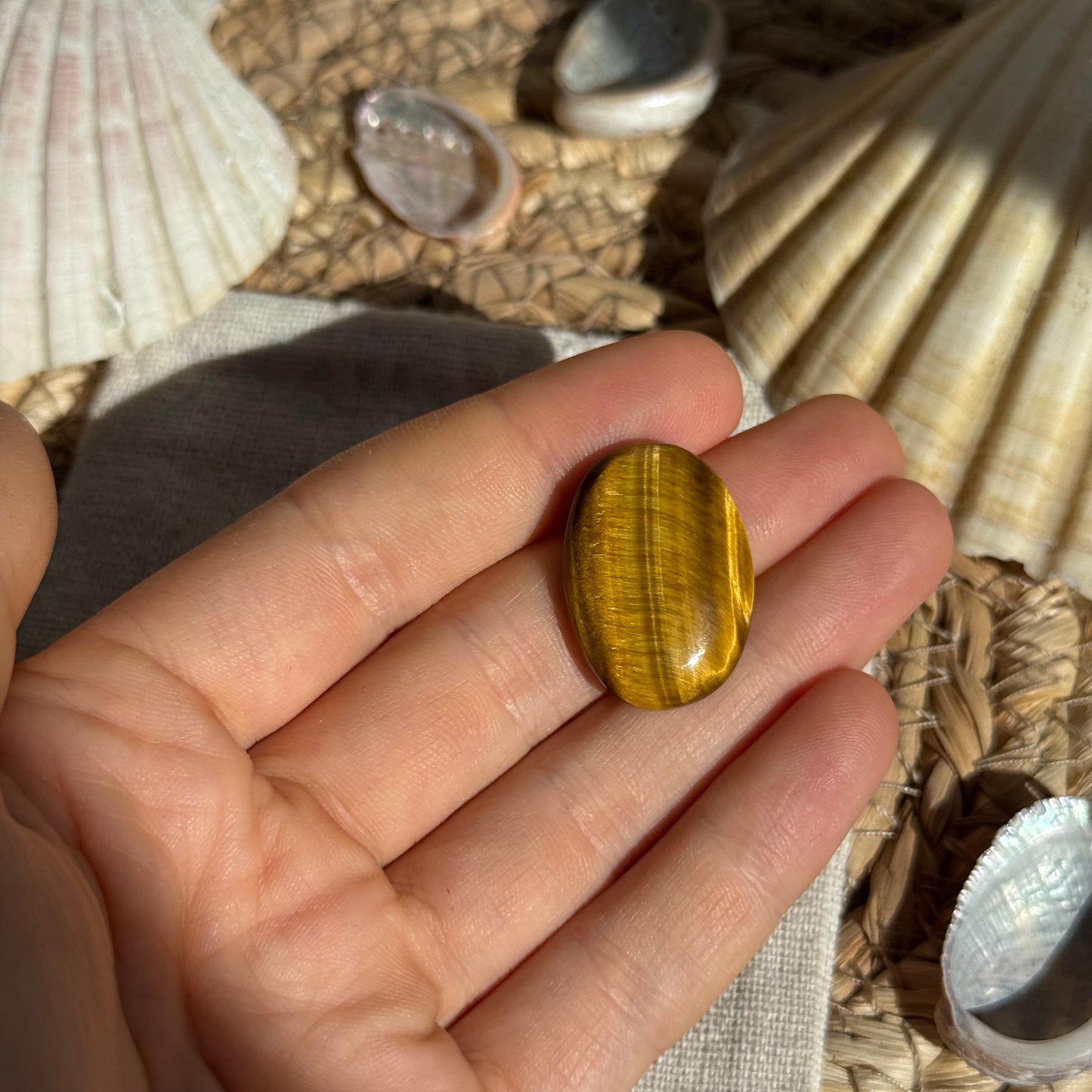 Tigerauge Cabochon ~ TR7