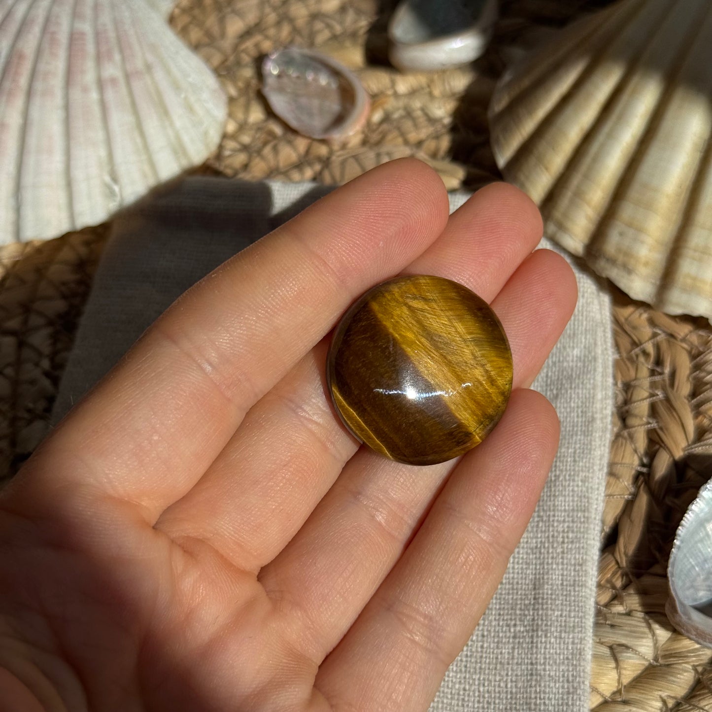 Tigerauge Cabochon ~ TD12