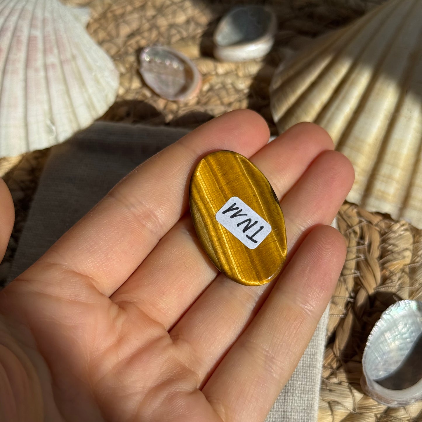 Tigerauge Cabochon ~ TN11