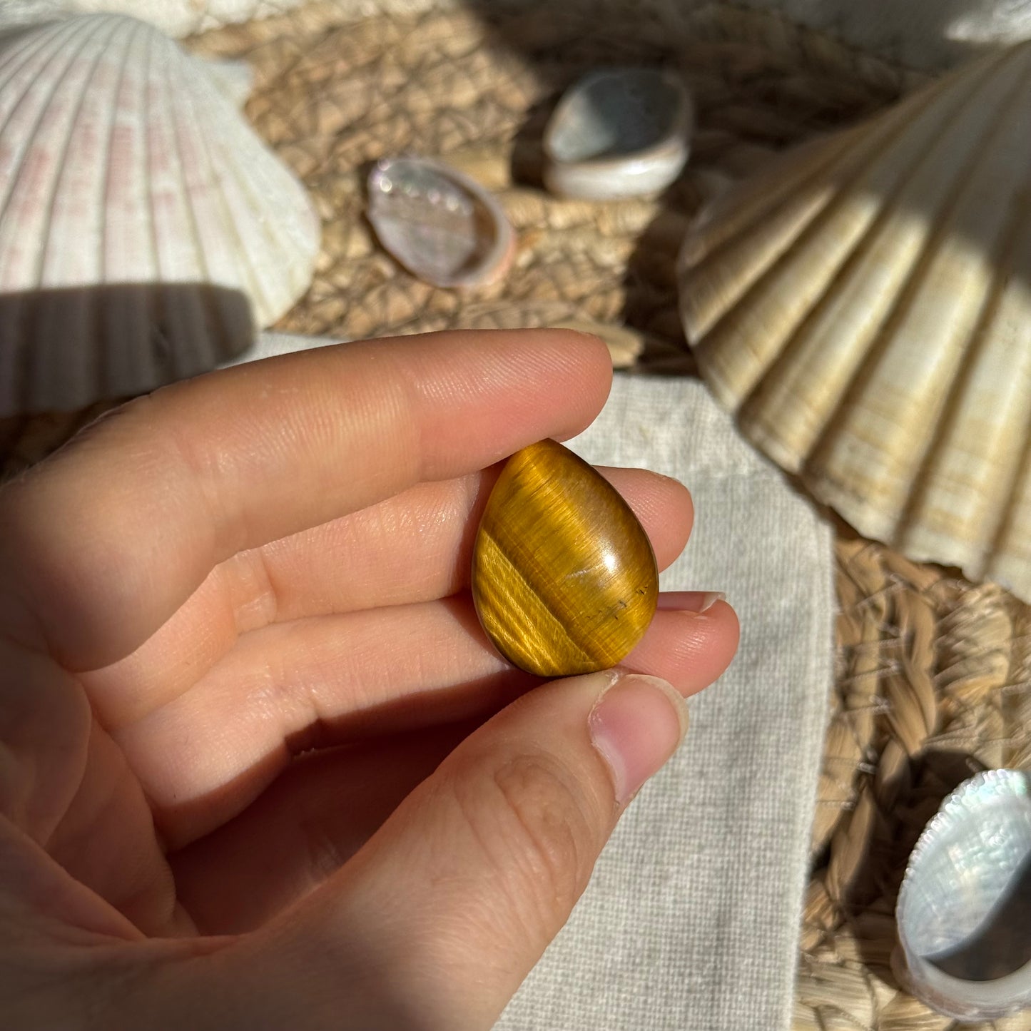 Tigerauge Cabochon ~ TQ6