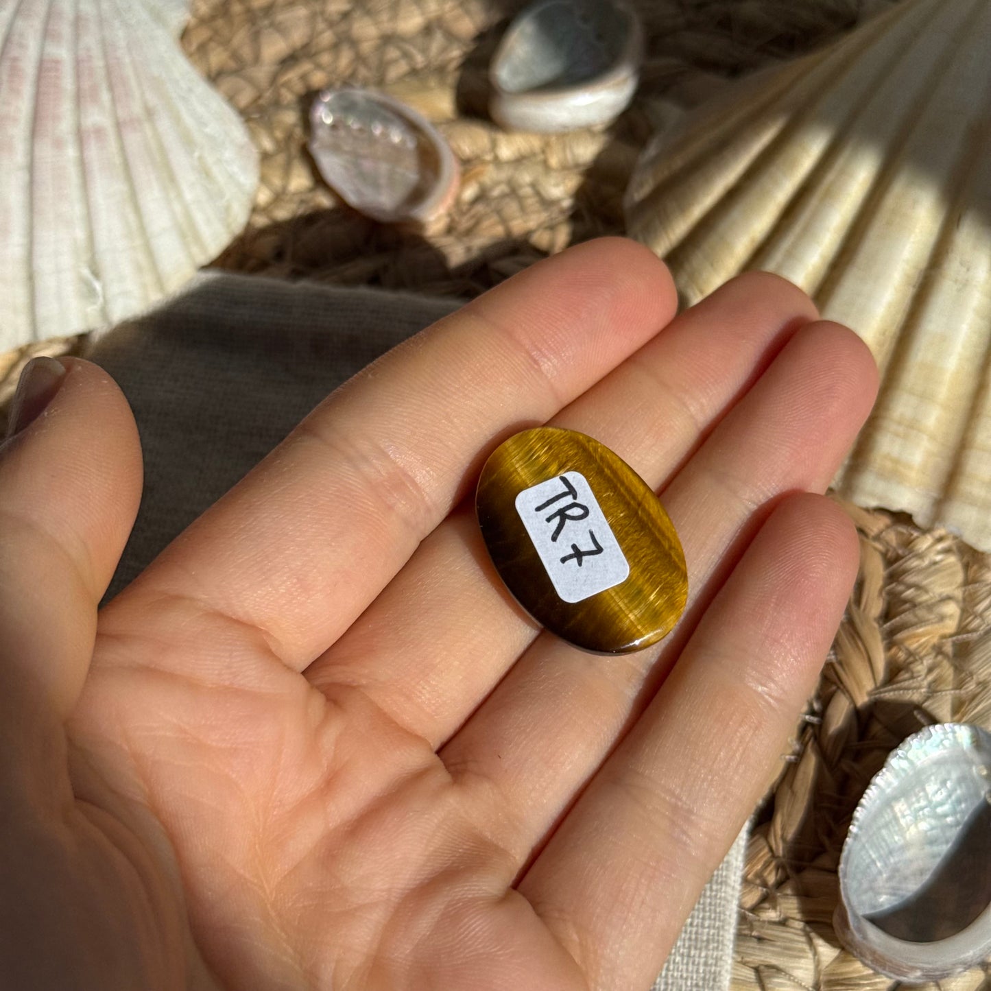 Tigerauge Cabochon ~ TR7