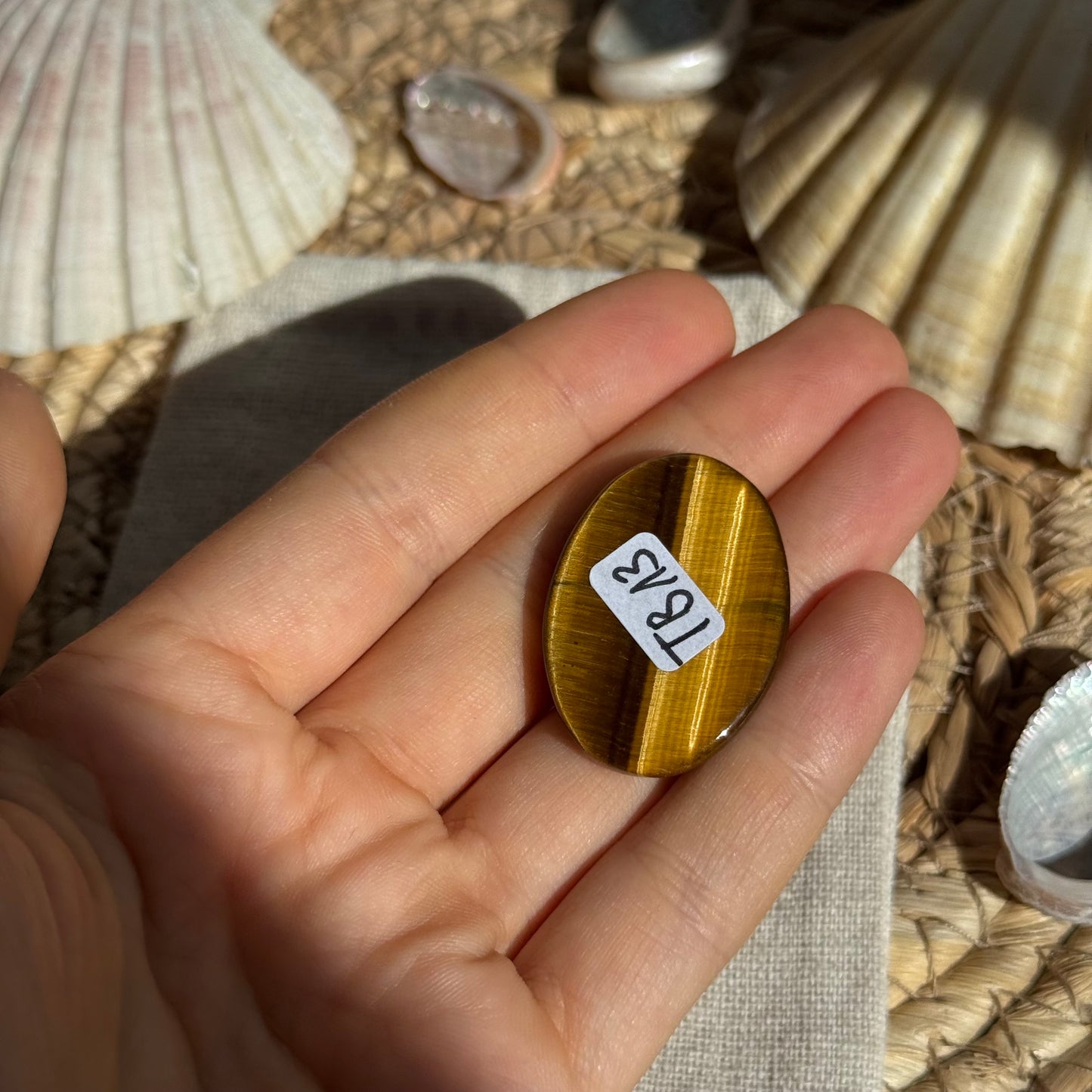 Tigerauge Cabochon ~ TB13