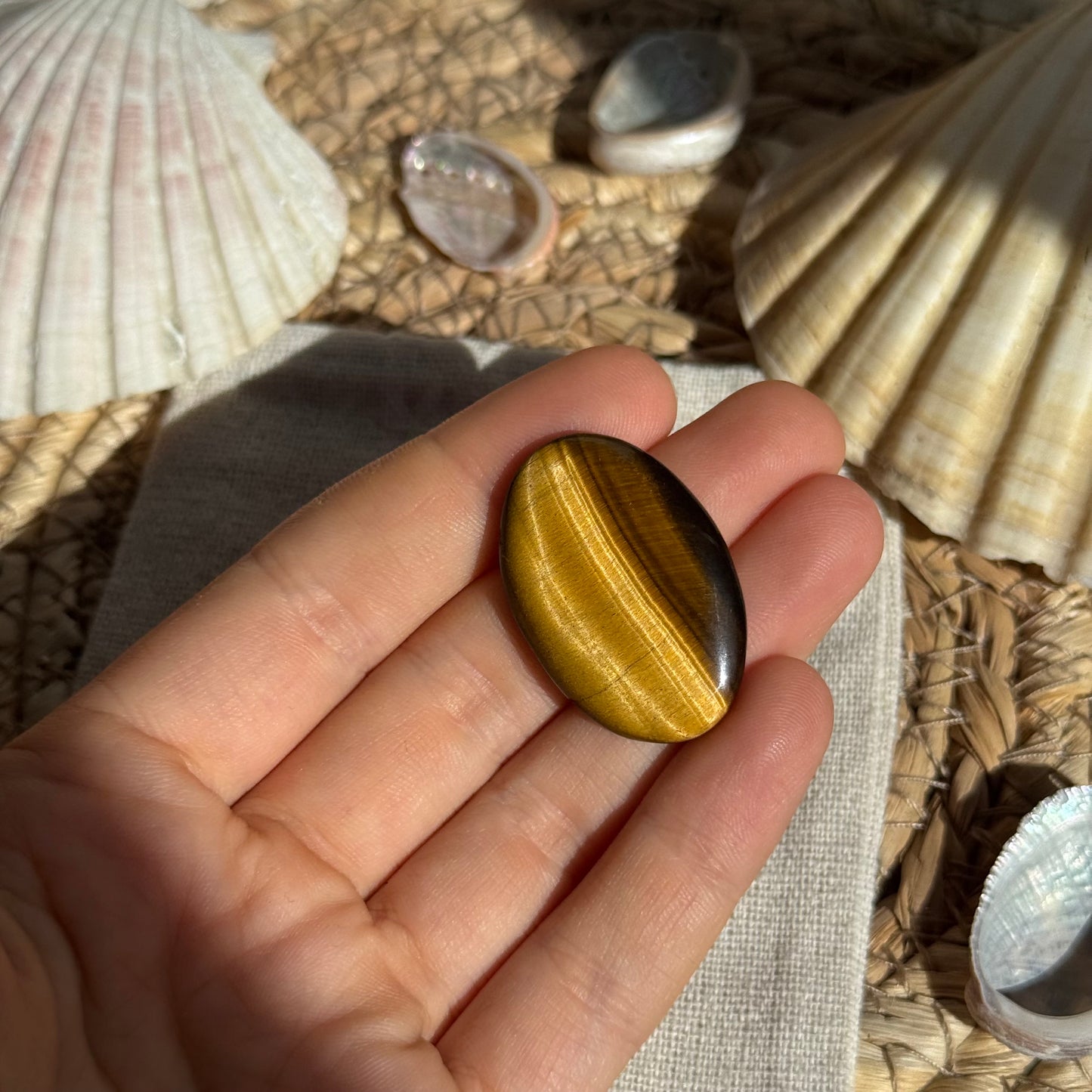 Tigerauge Cabochon ~ TO12