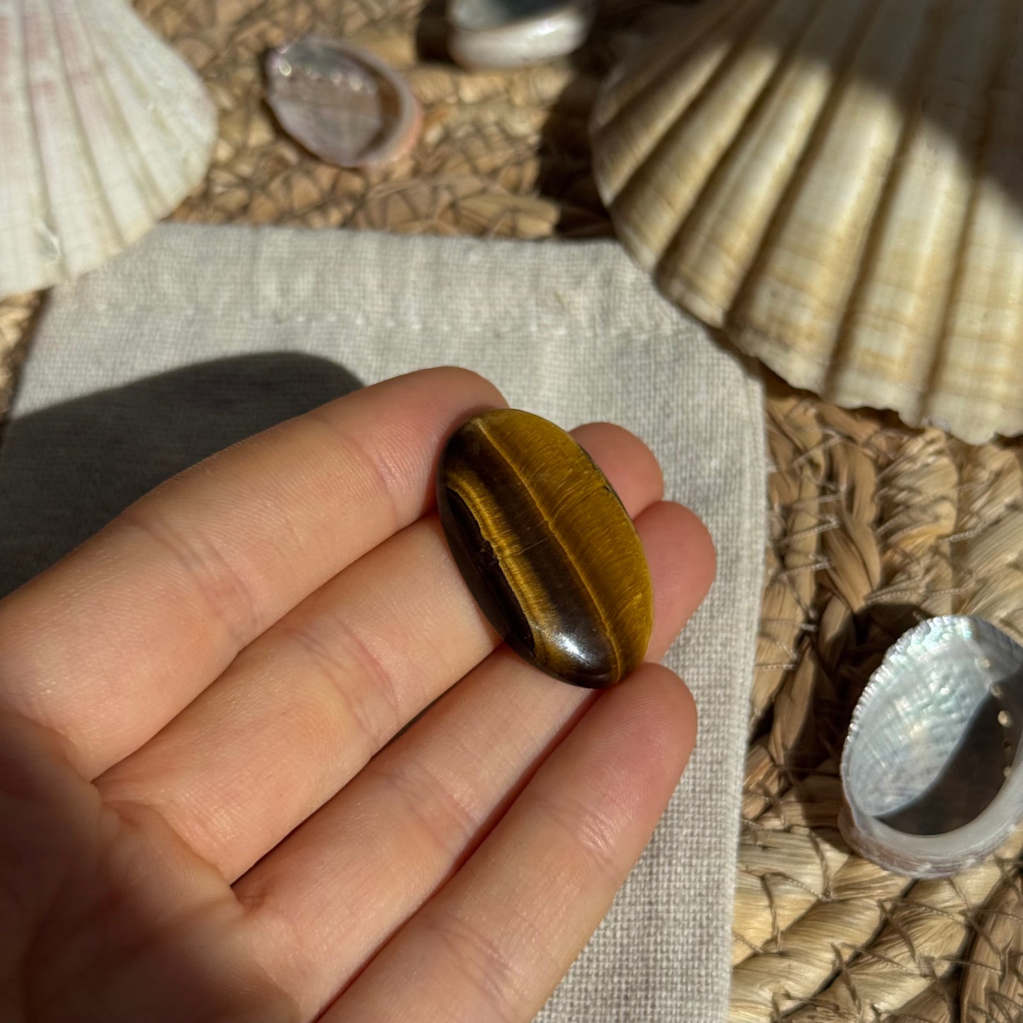 Tigerauge Cabochon ~ TE9