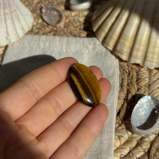 Tigerauge Cabochon ~ TE9
