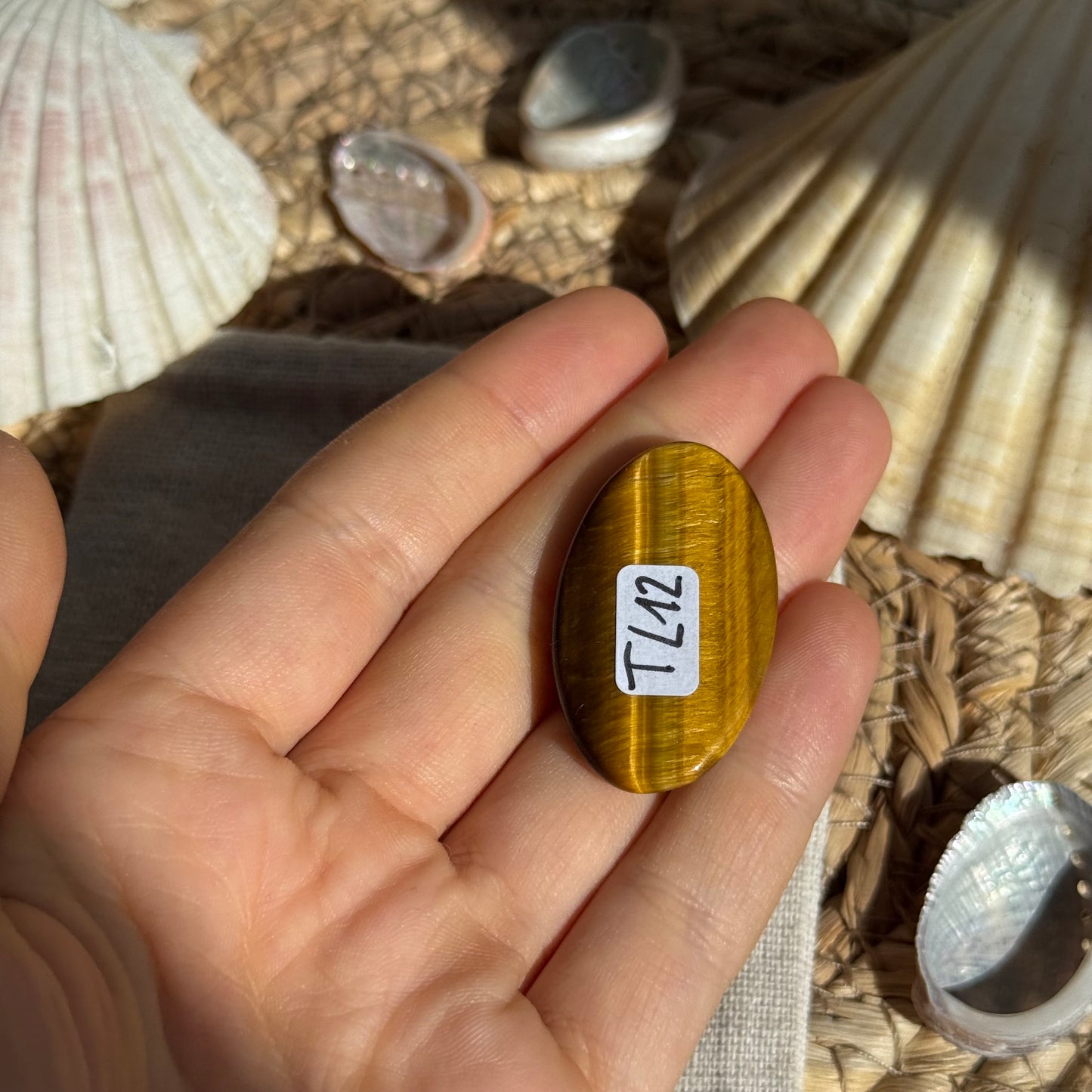 Tigerauge Cabochon ~ TL12