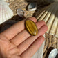Tigerauge Cabochon ~ TU9