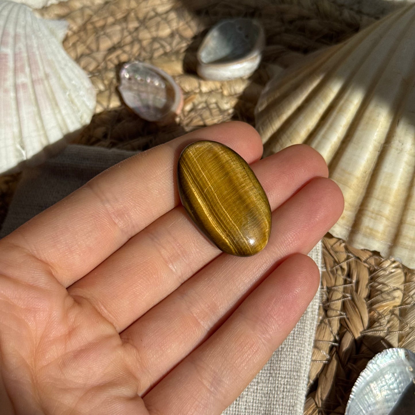 Tigerauge Cabochon ~ TU9