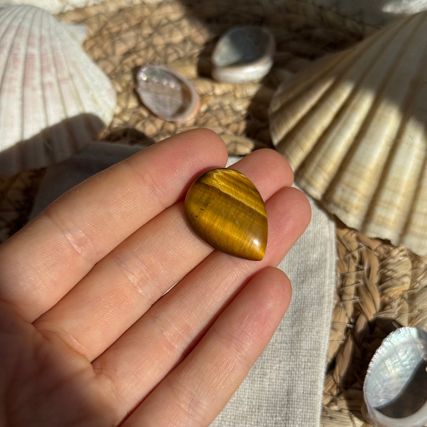 Tigerauge Cabochon ~ TQ6