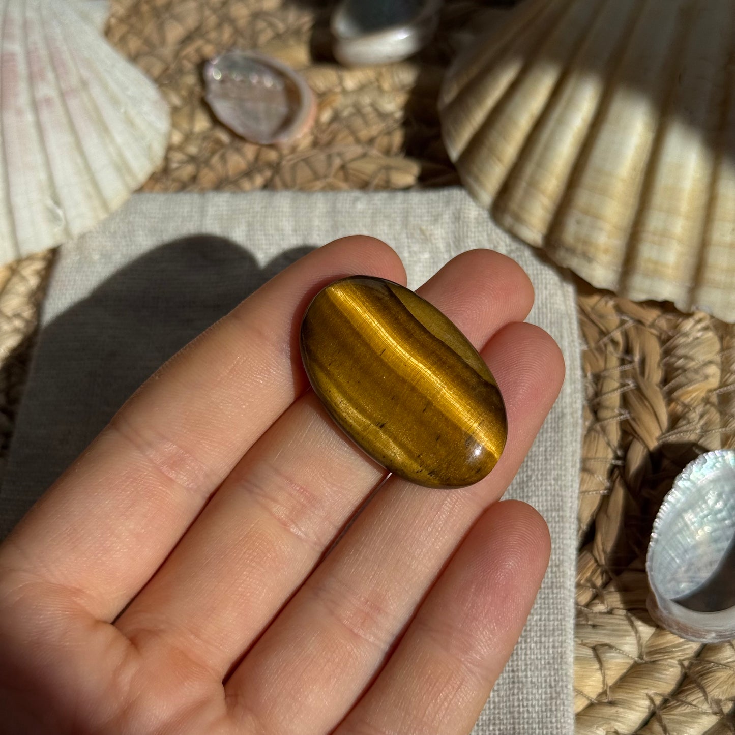 Tigerauge Cabochon ~ TA12