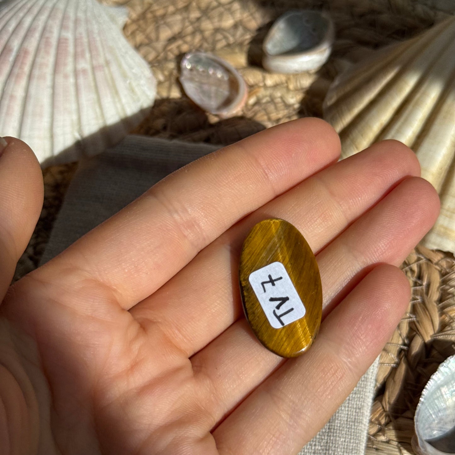 Tigerauge Cabochon ~ TV7