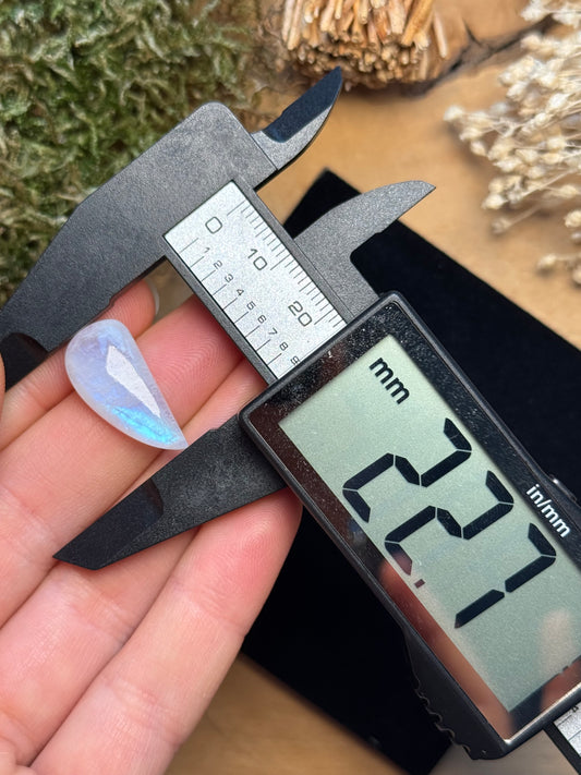 Regenbogen Mondstein /Weißer Labradorit ~ 6kg