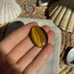 Tigerauge Cabochon ~ TB12