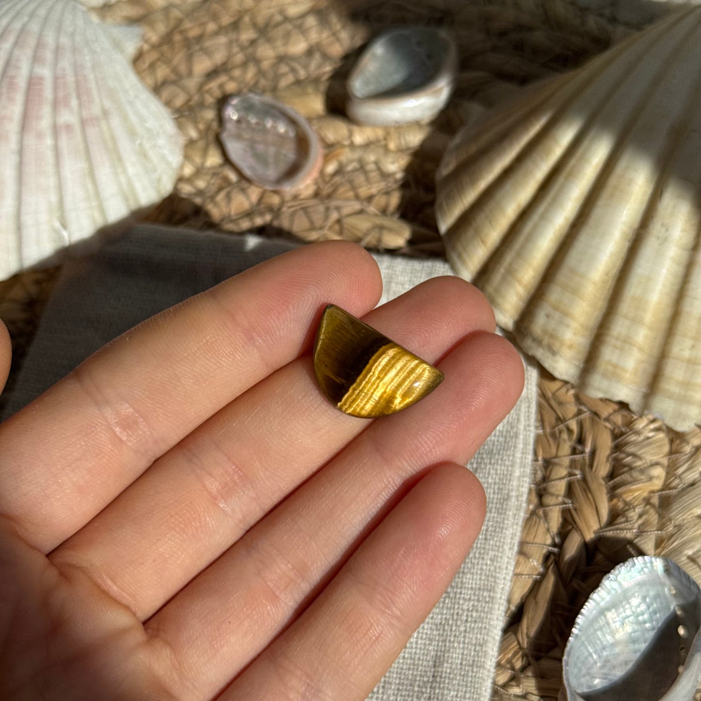 Tigerauge Cabochon ~ TS3