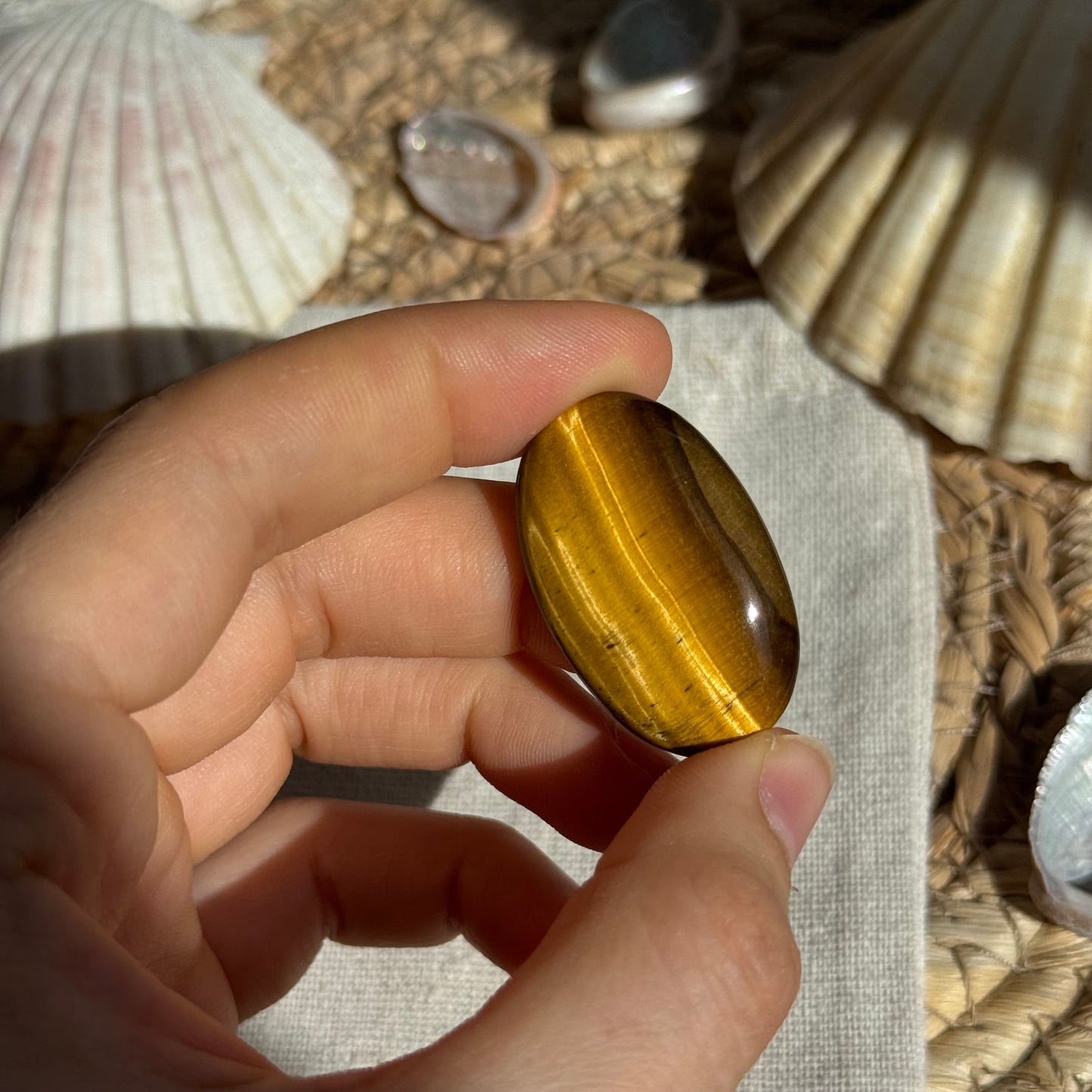 Tigerauge Cabochon ~ TA12