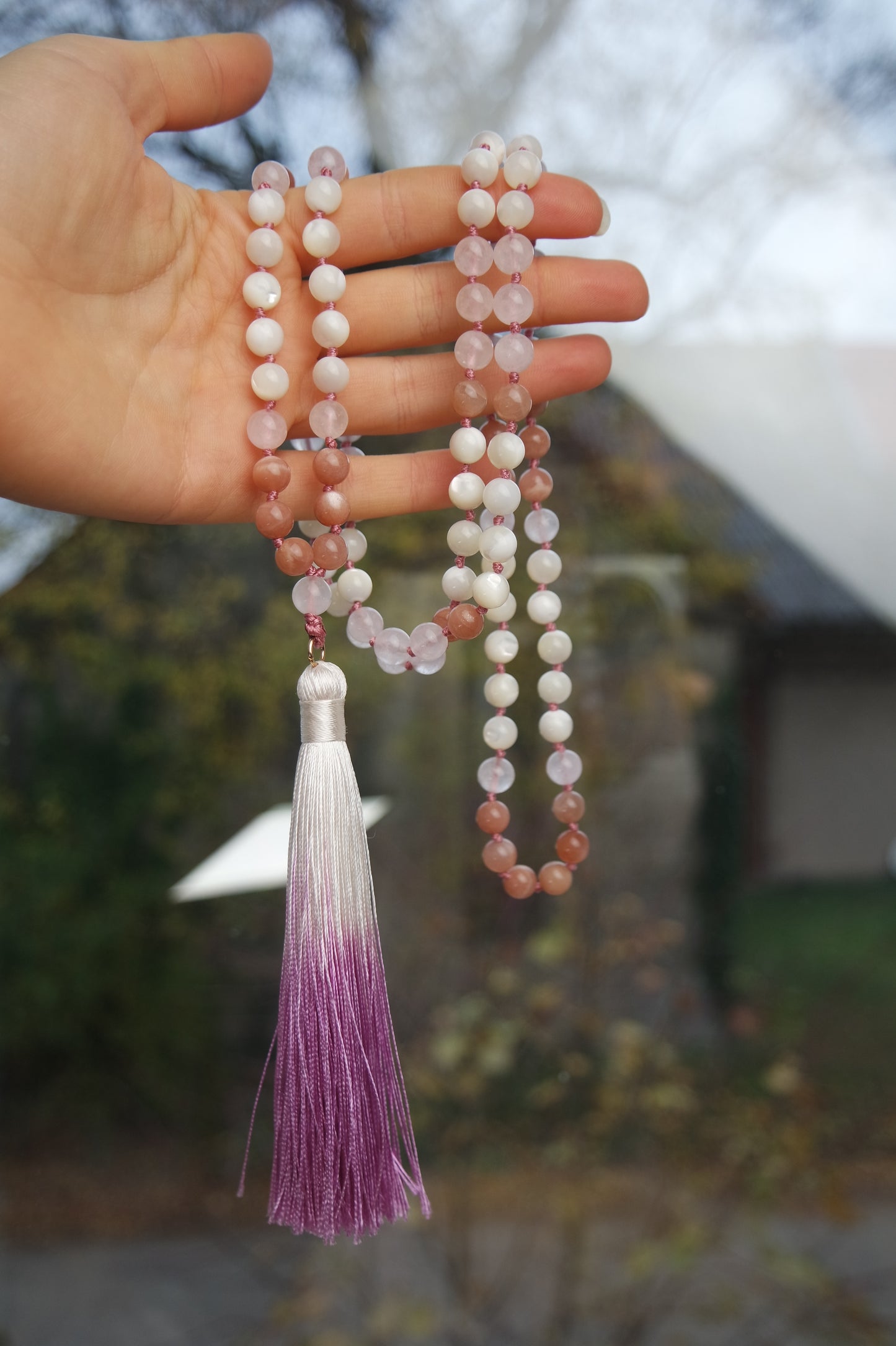 Mala Frostblüte auf Naturhintergrund – Winterinspiration in Licht und Farbe