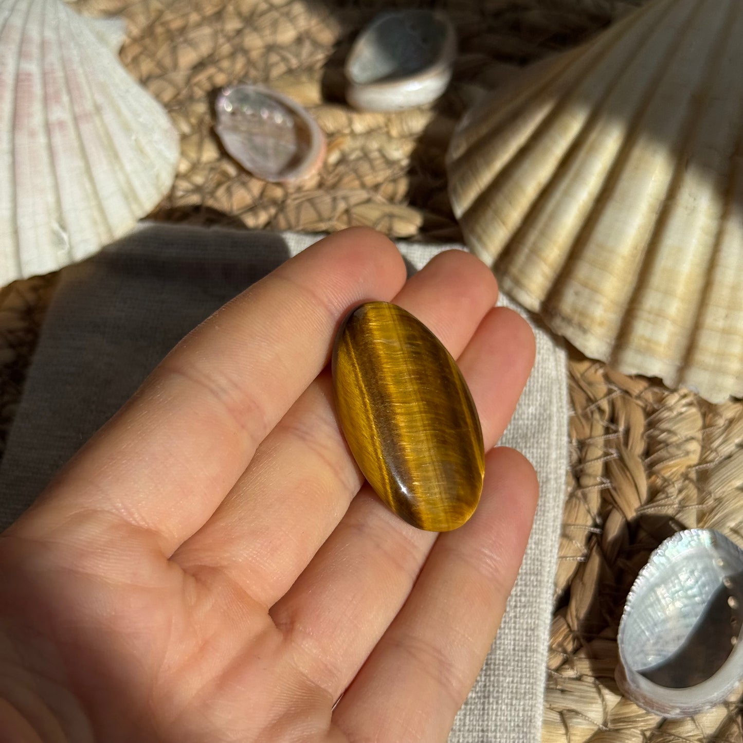 Tigerauge Cabochon ~ TL12