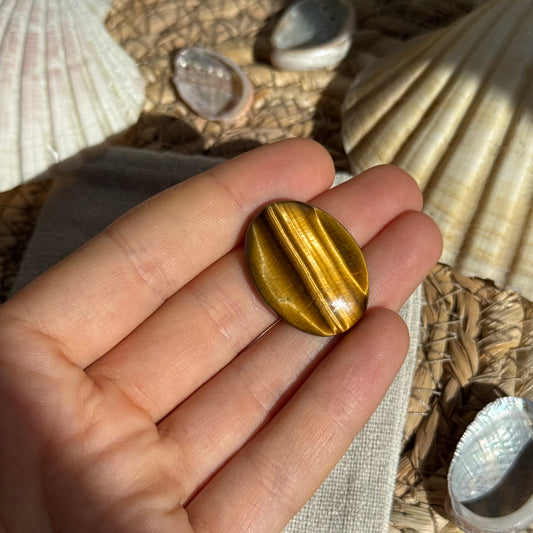Tigerauge Cabochon ~ TX9