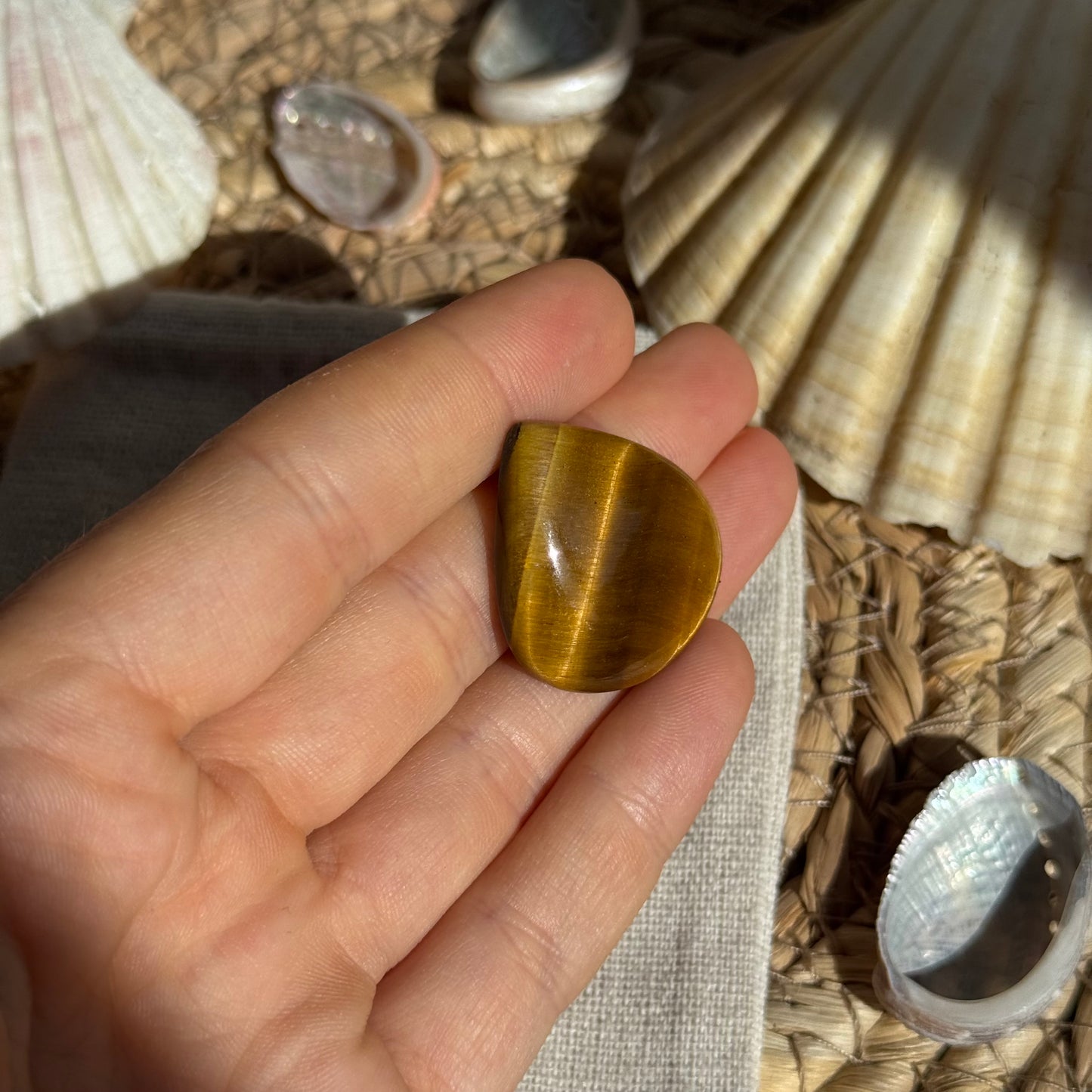 Tigerauge Cabochon ~ TM11