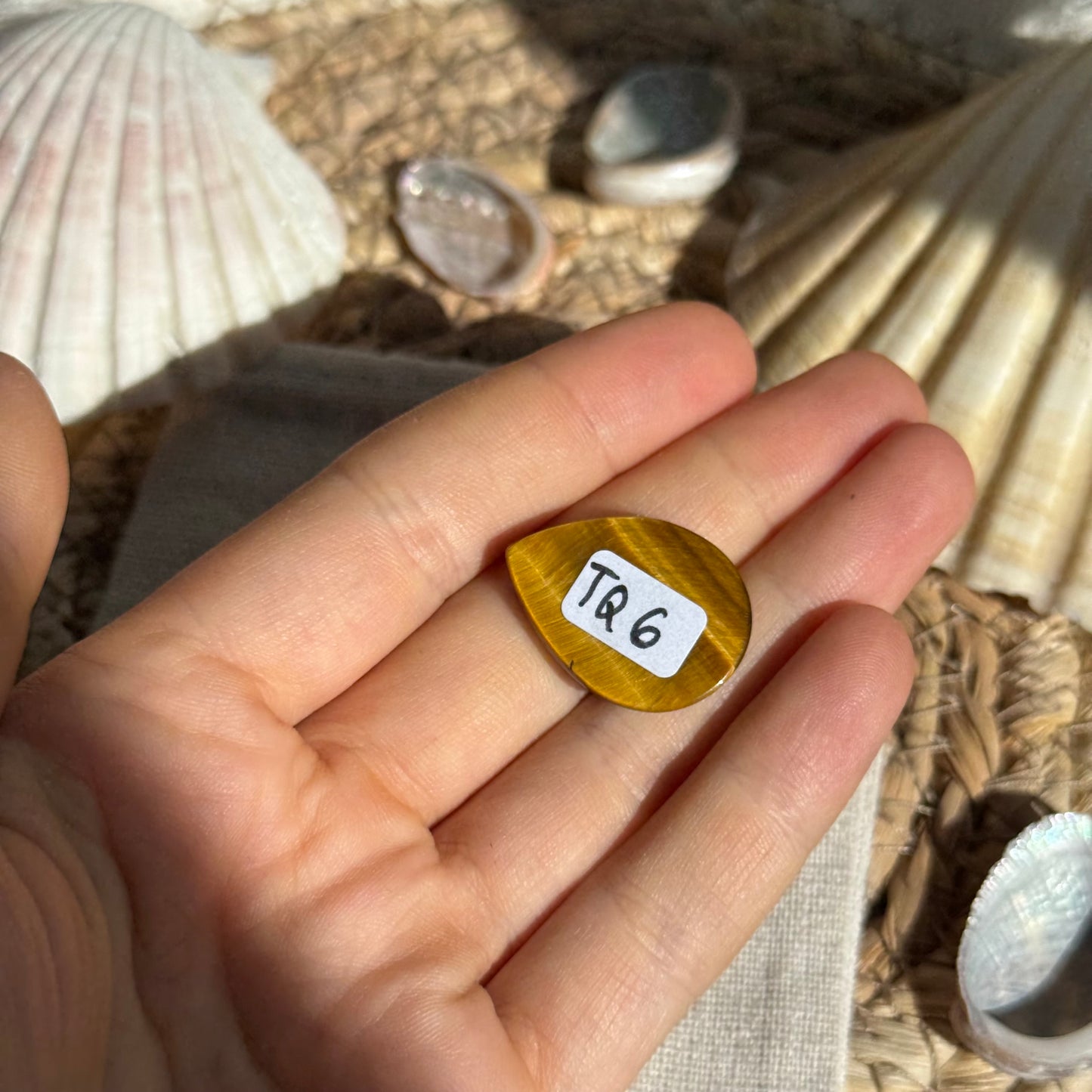 Tigerauge Cabochon ~ TQ6