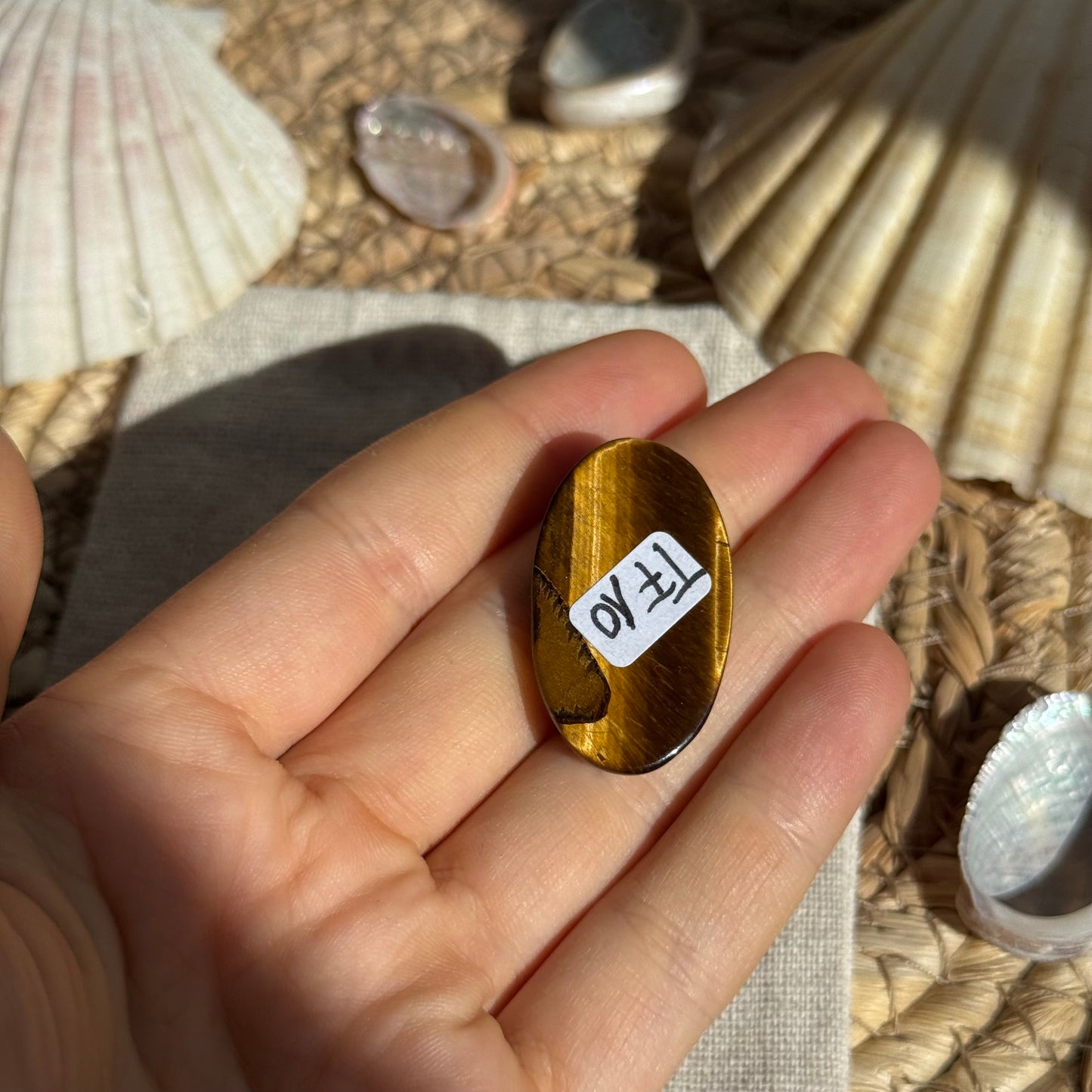 Tigerauge Cabochon ~ TF10