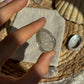 Turmalin Quarz Cabochon ~ F16
