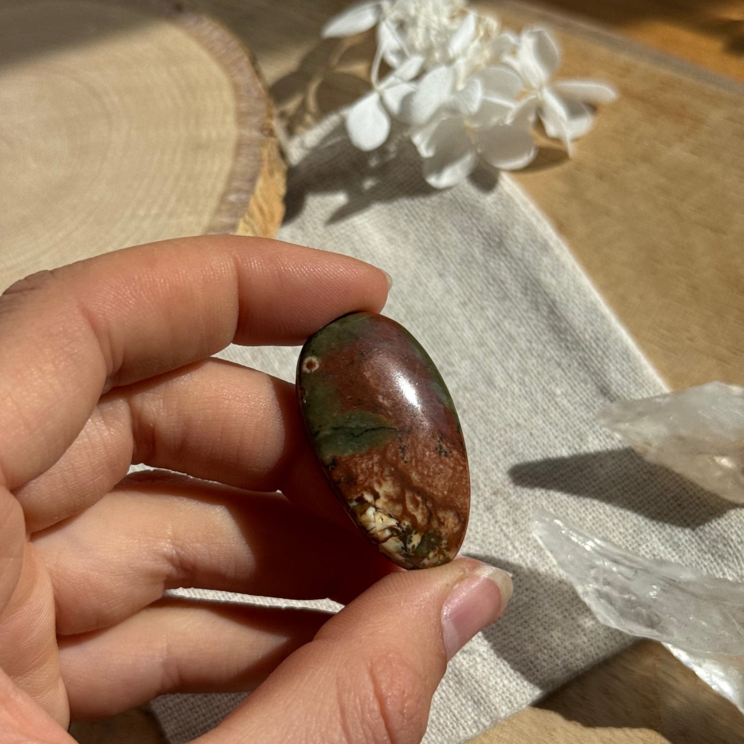 Regenwald-rhyolith Cabochon ~ AJ8