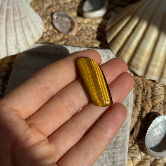 Tigerauge Cabochon ~ TK8