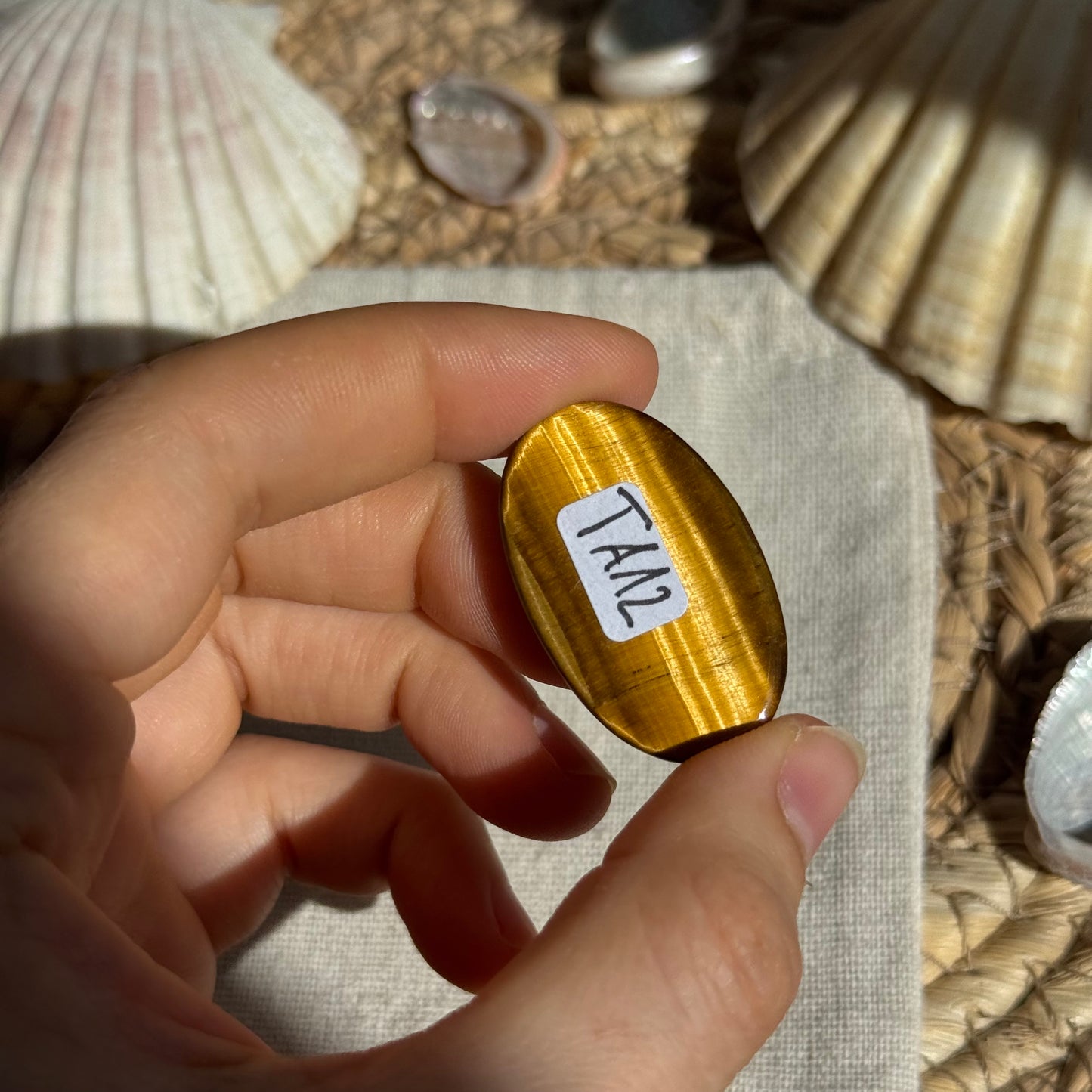 Tigerauge Cabochon ~ TA12