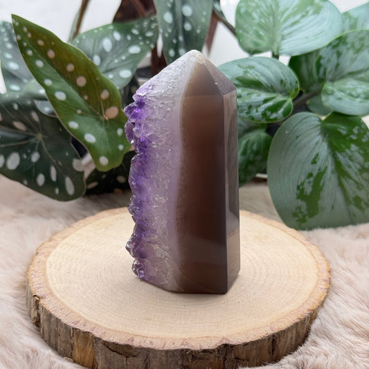Amethyst Druzy Turm ~ 77M