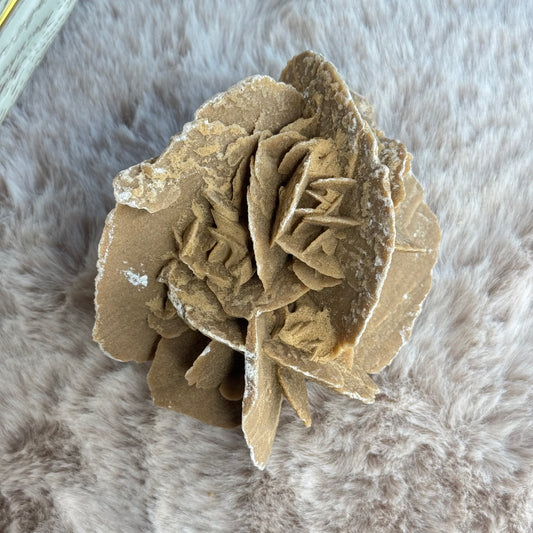 Sandrose ~ 30AS