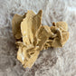 Sandrose ~ 23BS