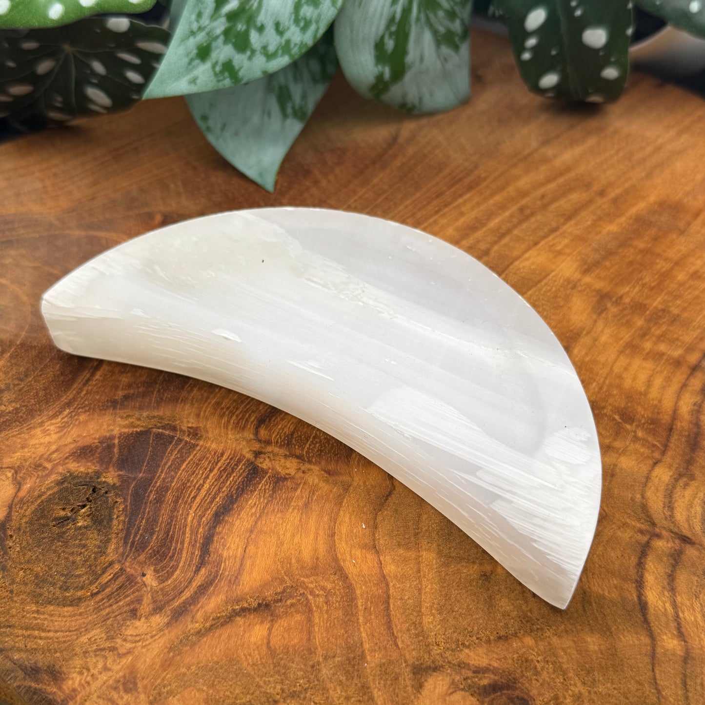 Mond Selenit Schale ~ 20MM