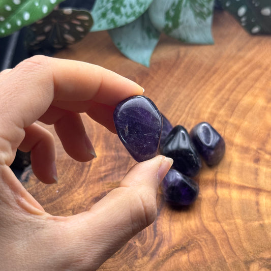 Amethyst Trommelstein