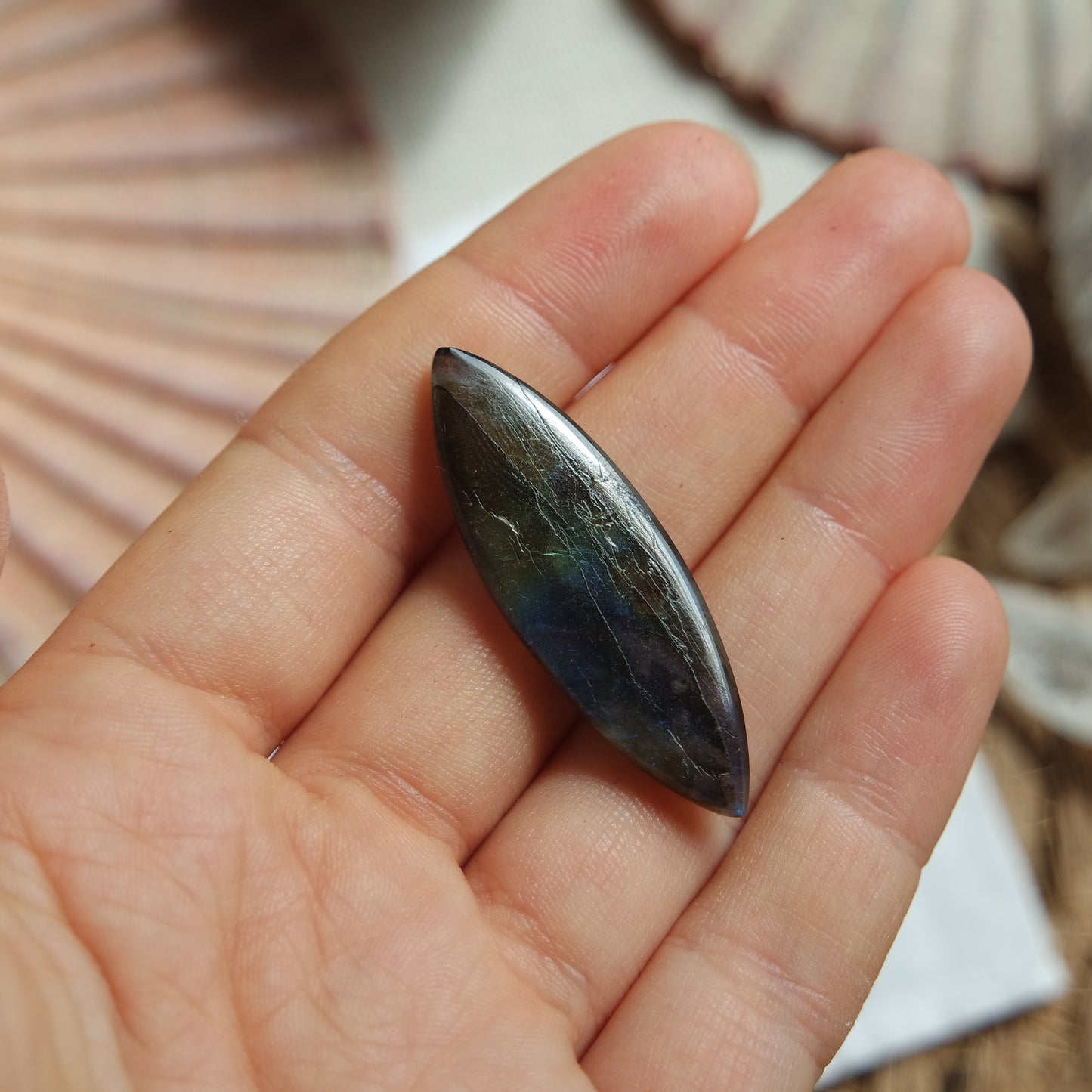 Labradorit Cabochon ~ 12ZX