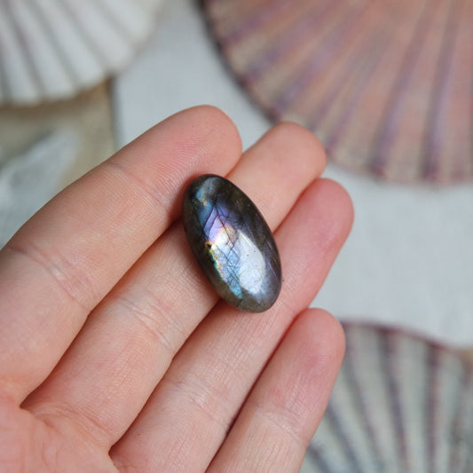 Labradorit Cabochon ~ 9XG