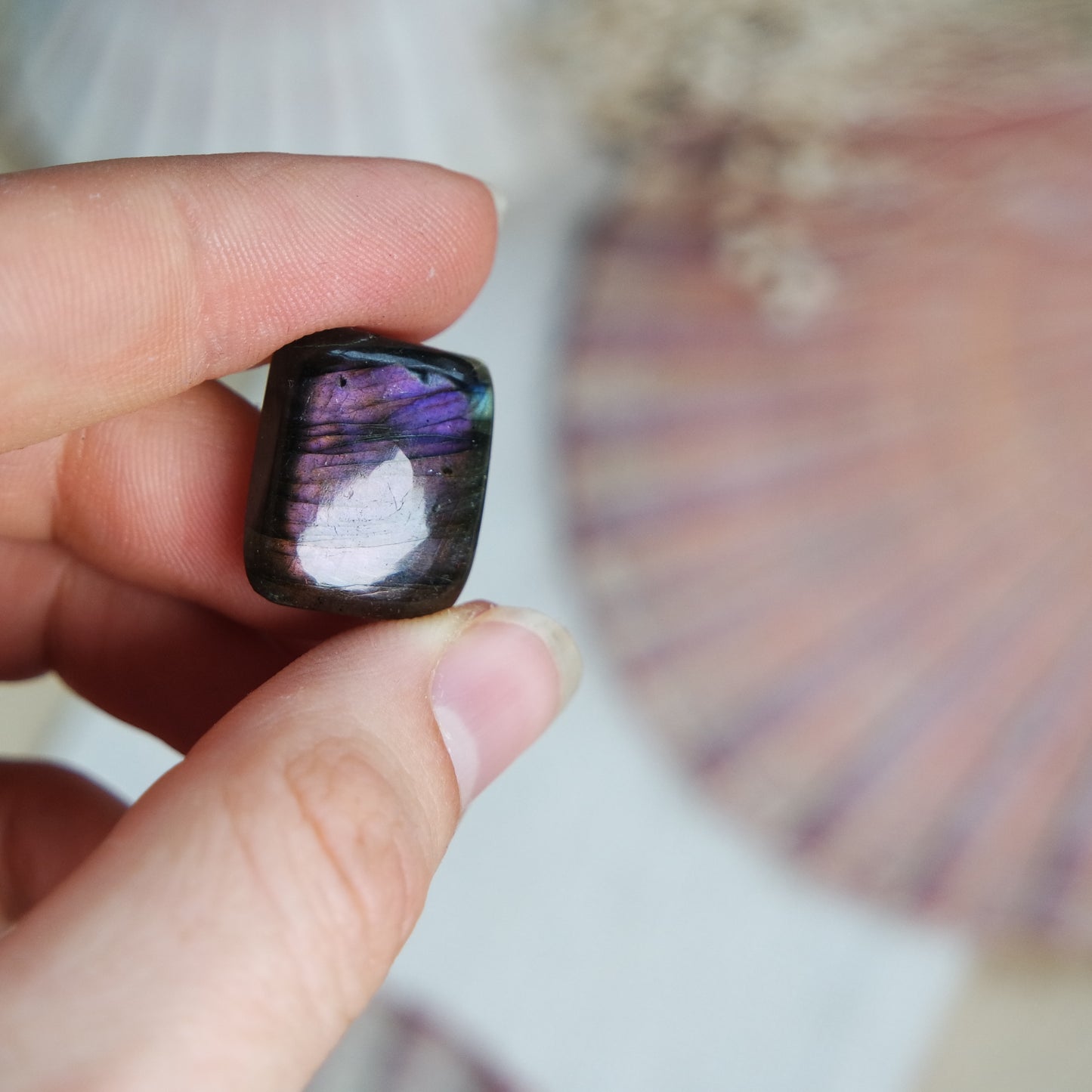 Labradorit Cabochon ~ 6XC