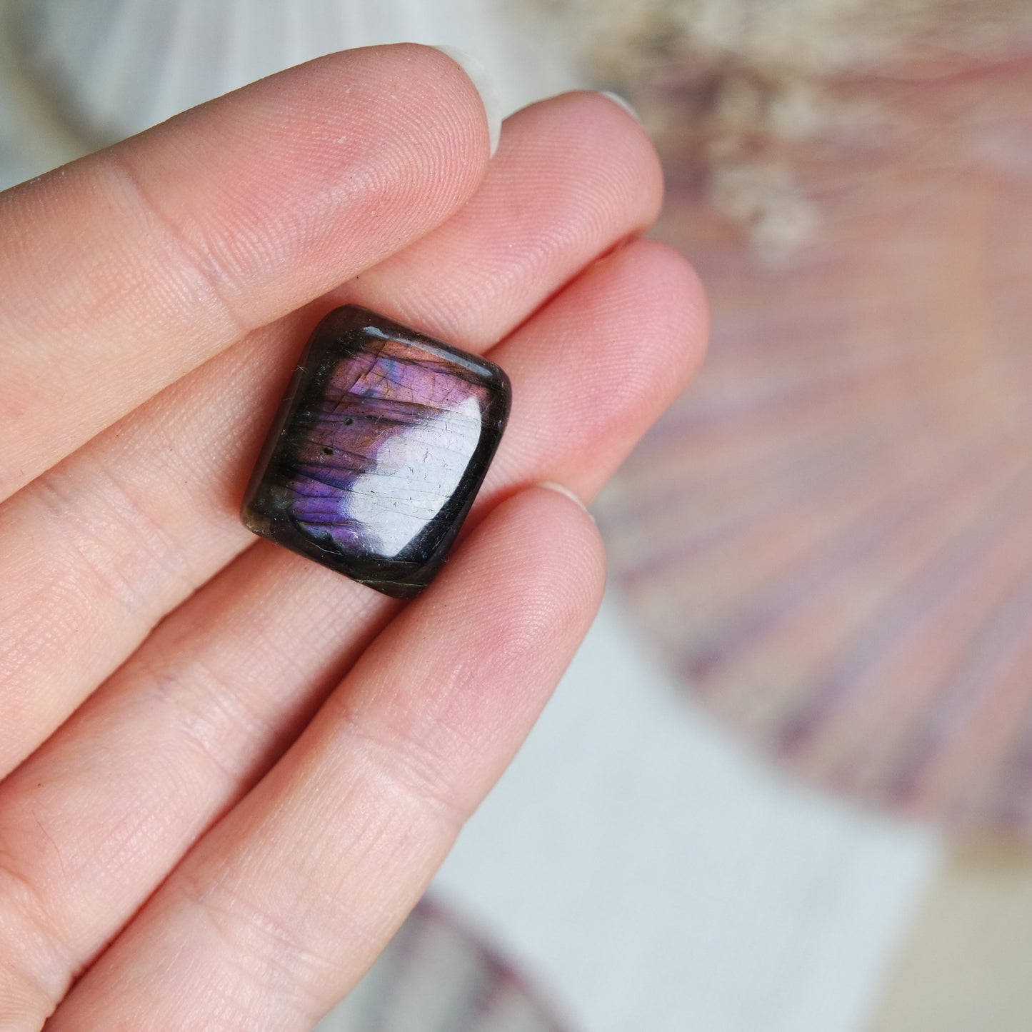 Labradorit Cabochon ~ 6XC