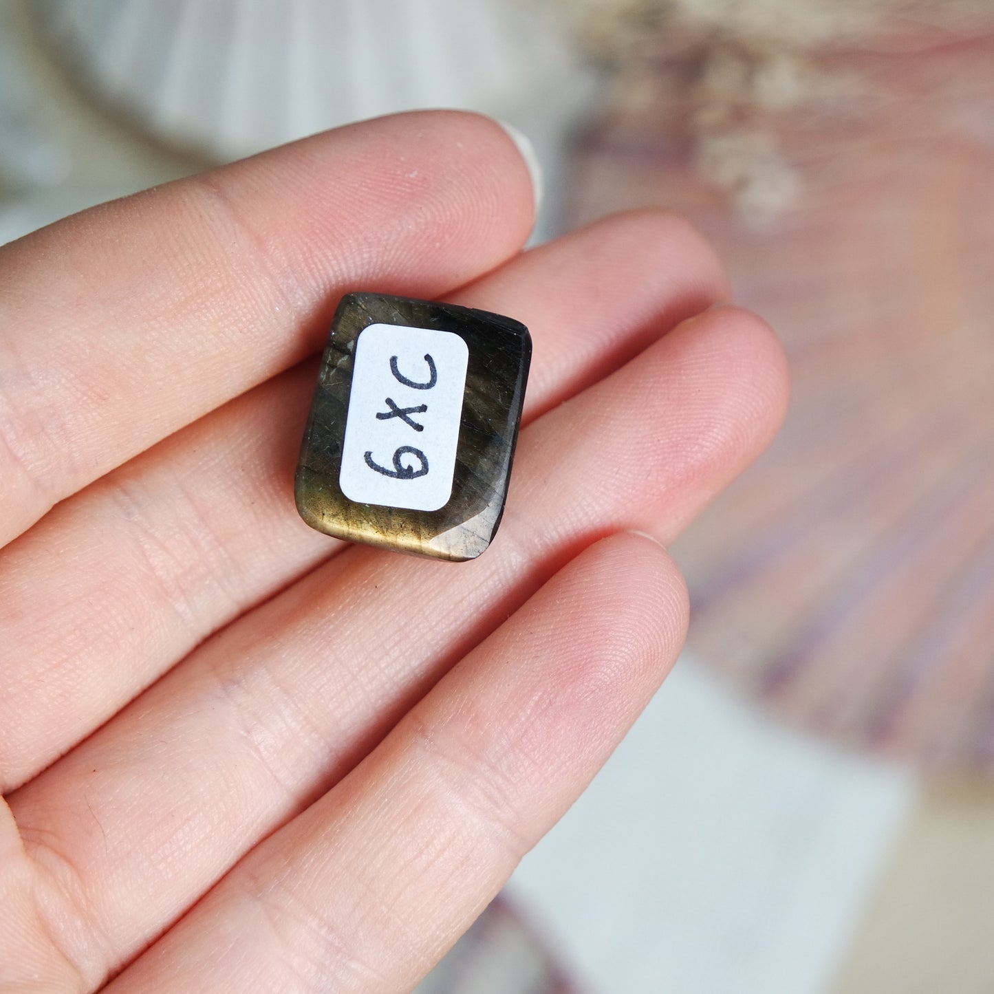 Labradorit Cabochon ~ 6XC
