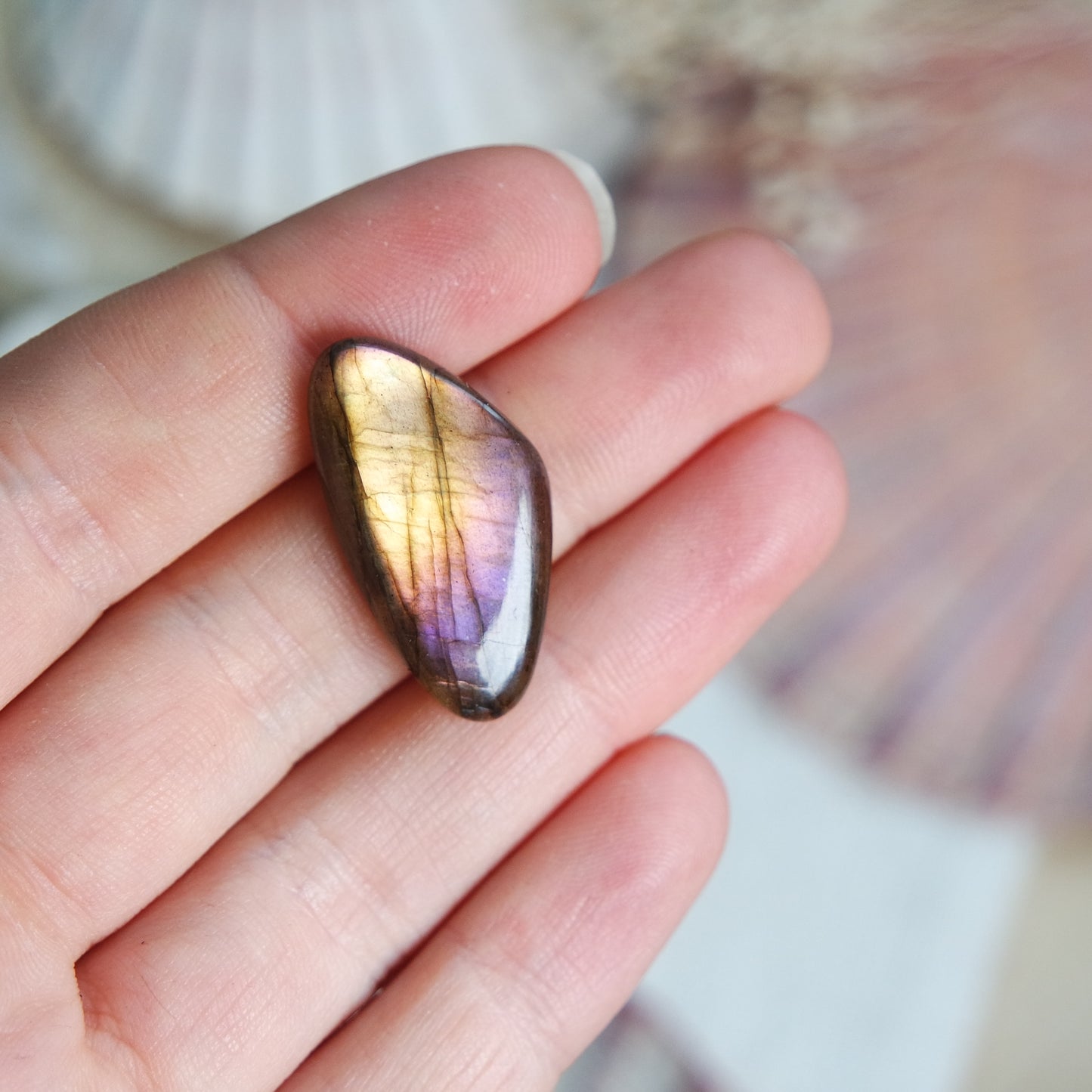 Labradorit Cabochon ~ 6Xj