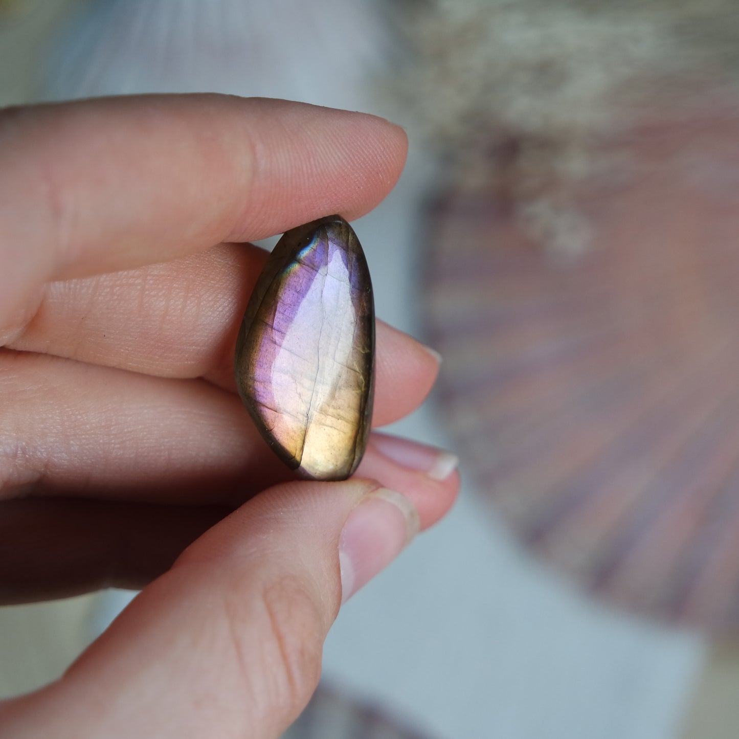 Labradorit Cabochon ~ 6Xj