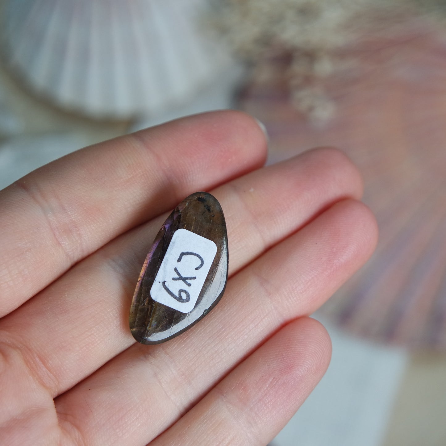 Labradorit Cabochon ~ 6Xj