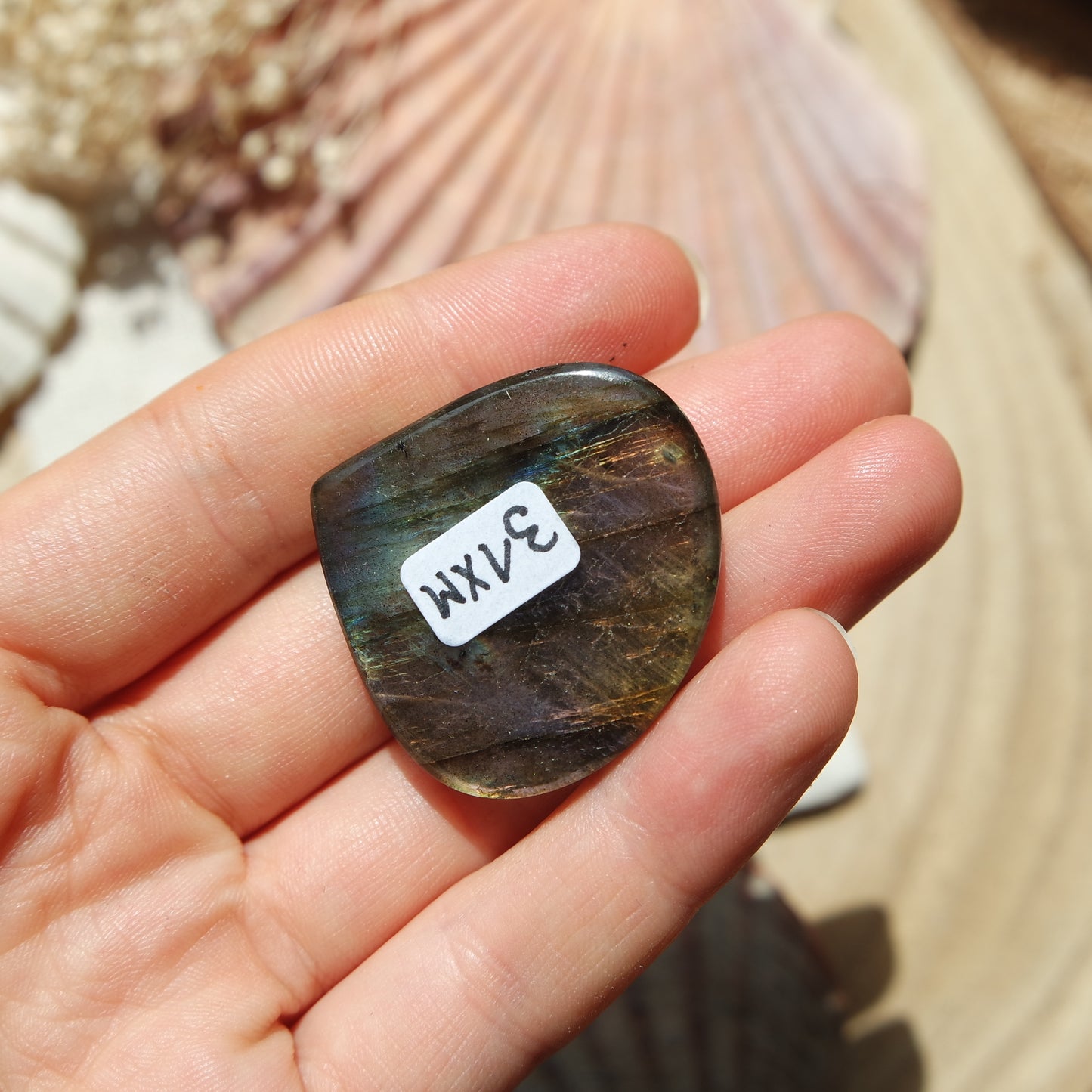 Labradorit Cabochon ~ 31XM