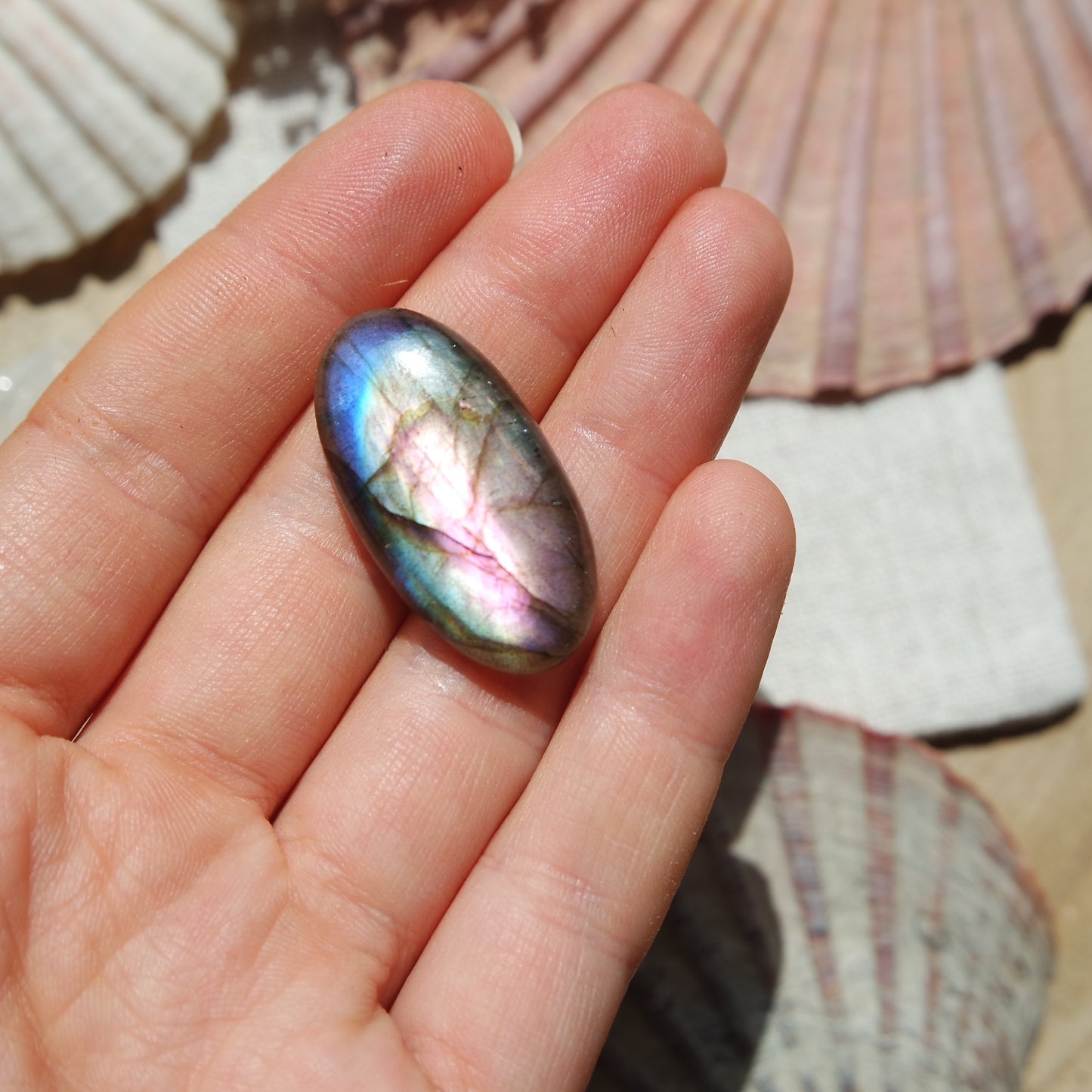 Labradorit Cabochon ~ 16XO