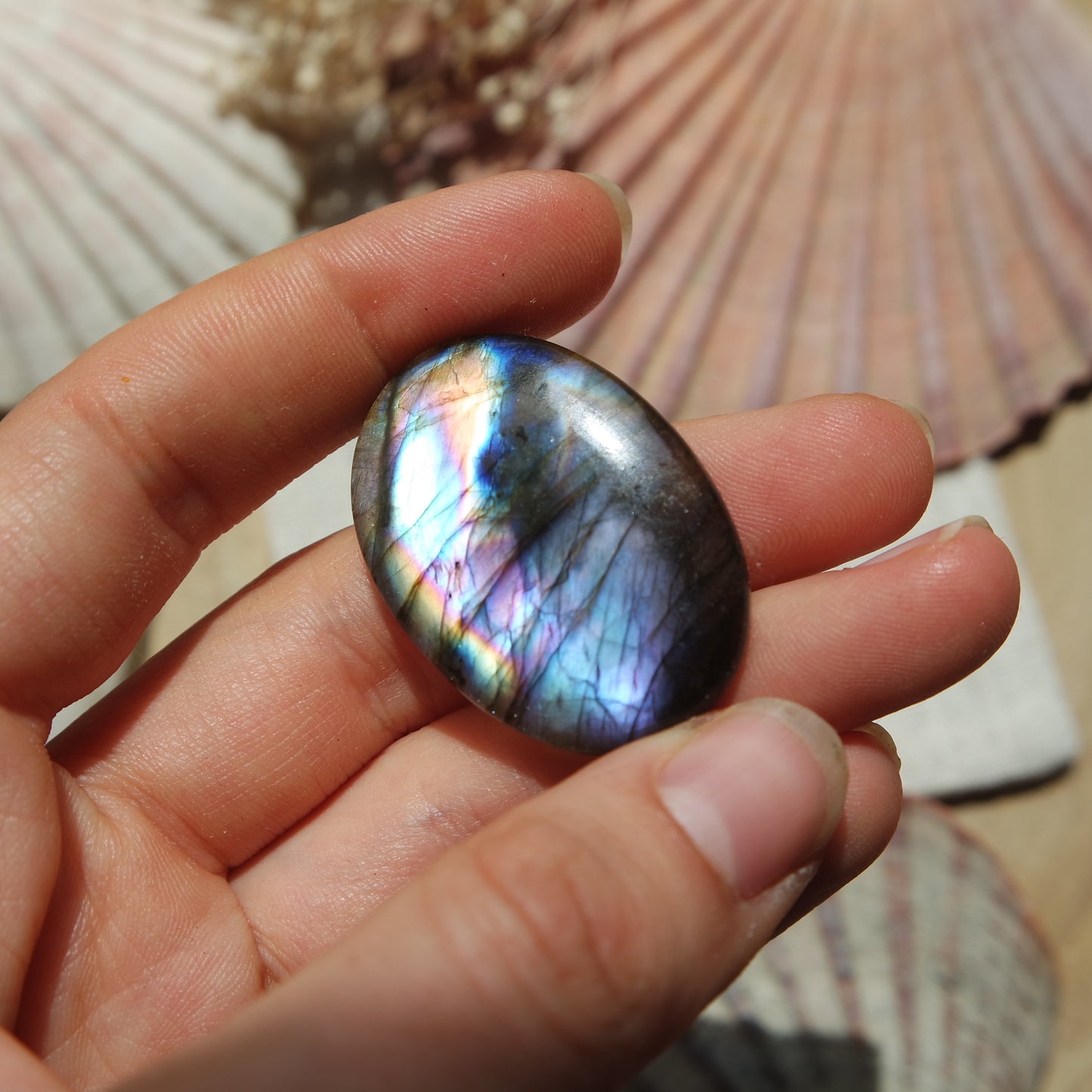 Labradorit Cabochon ~ 24XCC