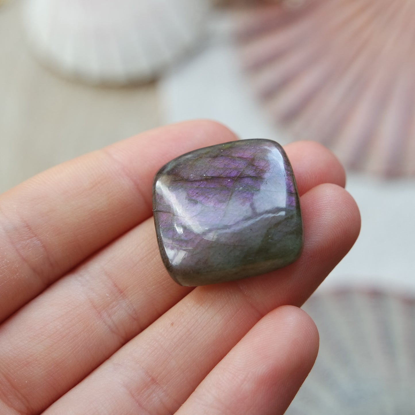 Lila Labradorit Cabochon ~ 21XK
