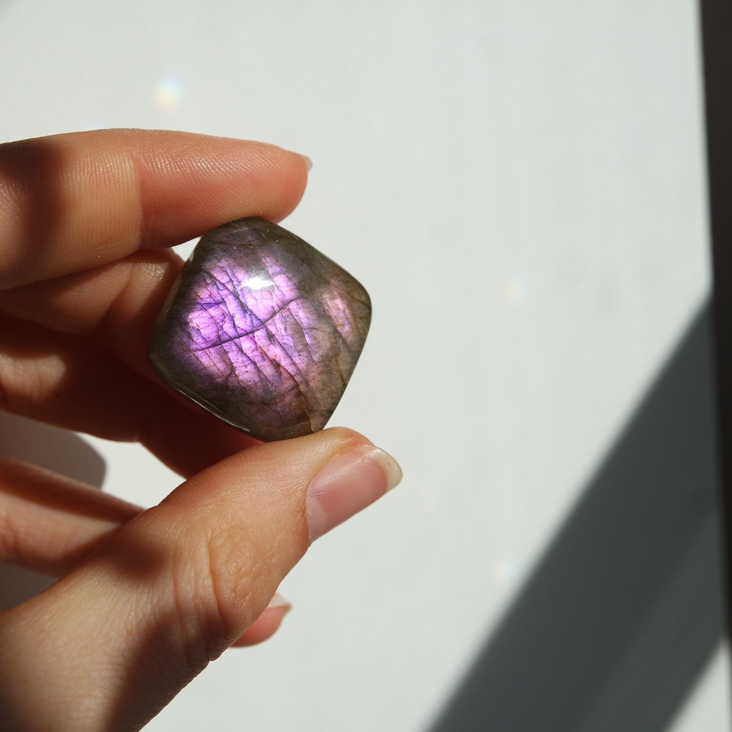 Lila Labradorit Cabochon ~ 21XK