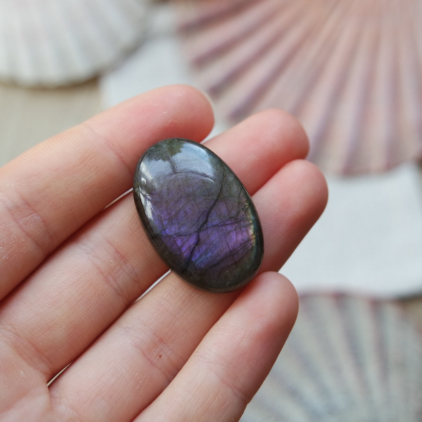 Lila Labradorit Cabochon ~ 21XP