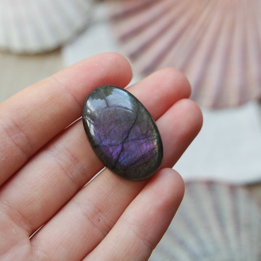 Lila Labradorit Cabochon ~ 21XP