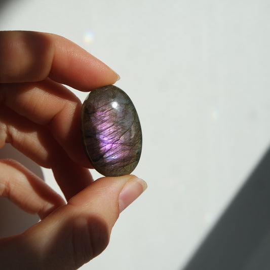 Lila Labradorit Cabochon ~ 21XP